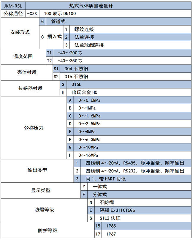 天然氣熱式氣體質量流量計選項表